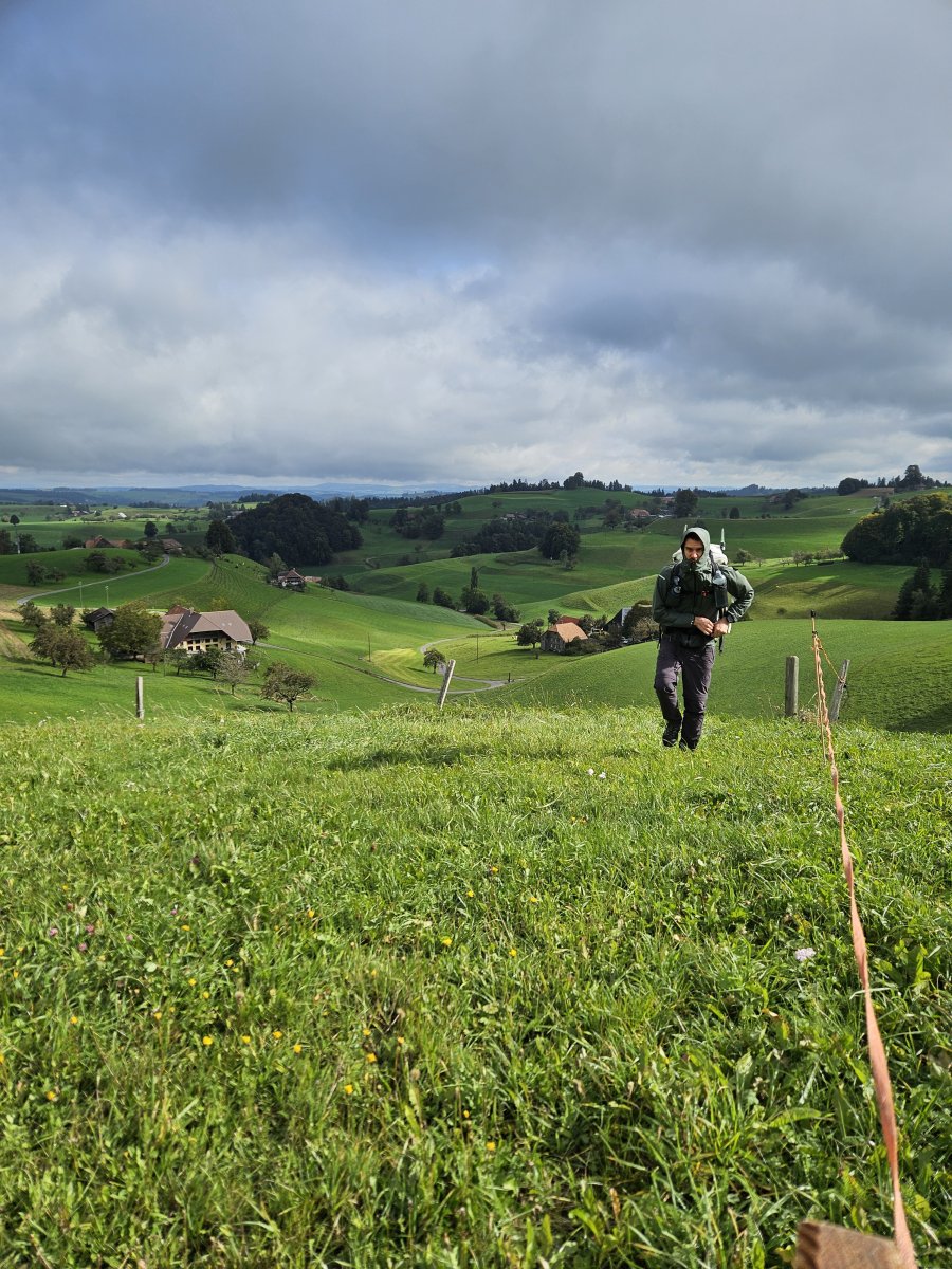 über Feld und Wiese