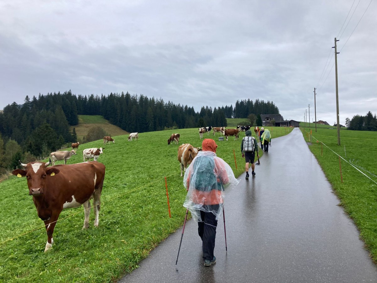 Aufstieg zur Chäserenegg