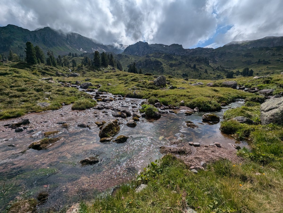 BIld von der Auenlandschaft