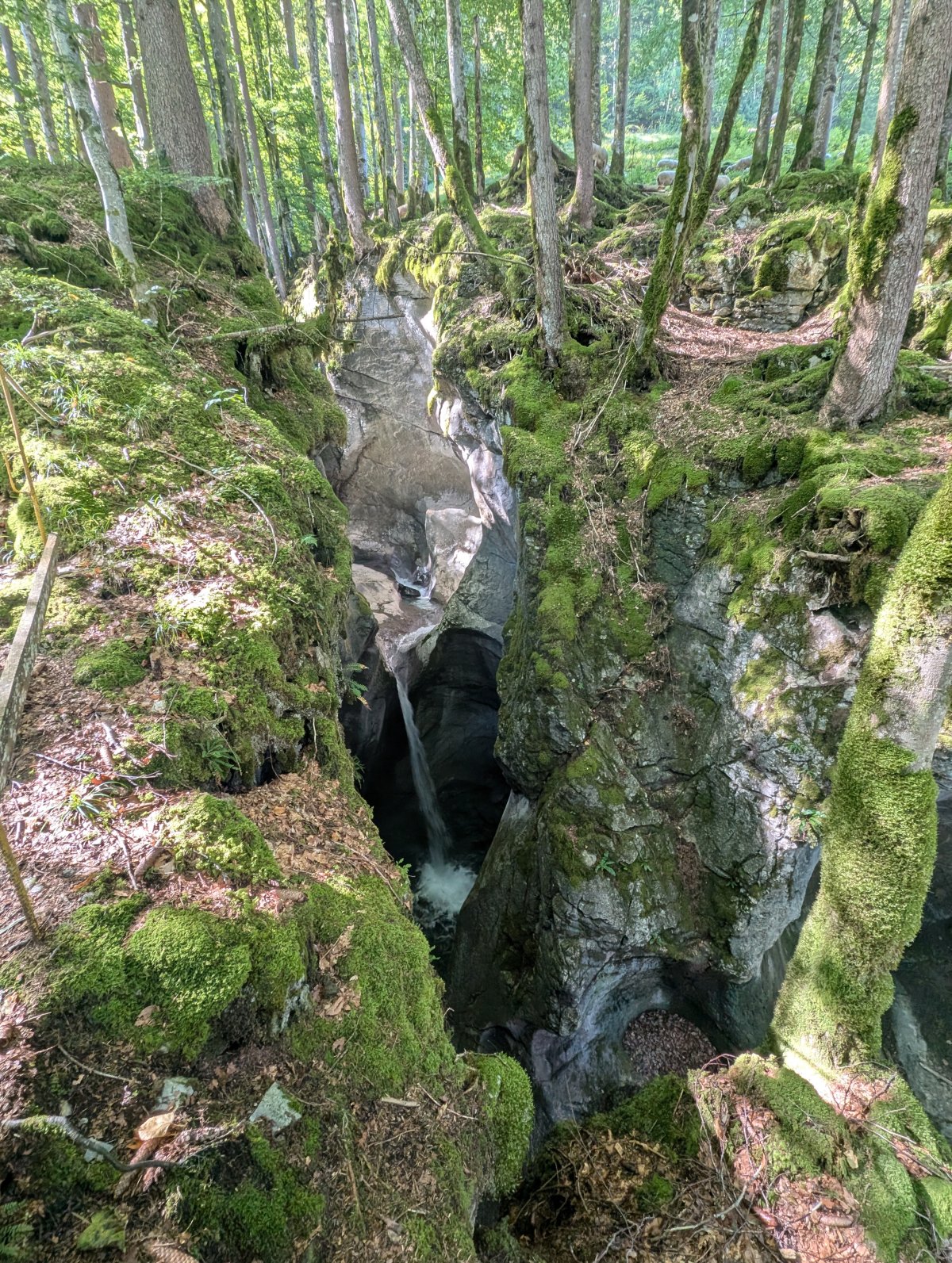 Schlucht auf dem Weg nach Muotathal